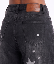 Astro Paneled Cargo